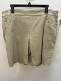 Size 1X Terra Sky Shorts