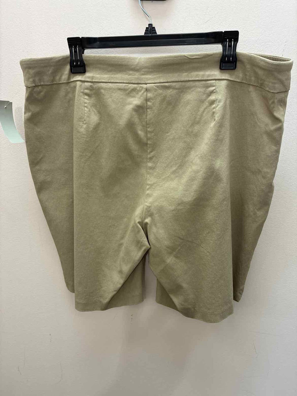 Size 1X Terra Sky Shorts