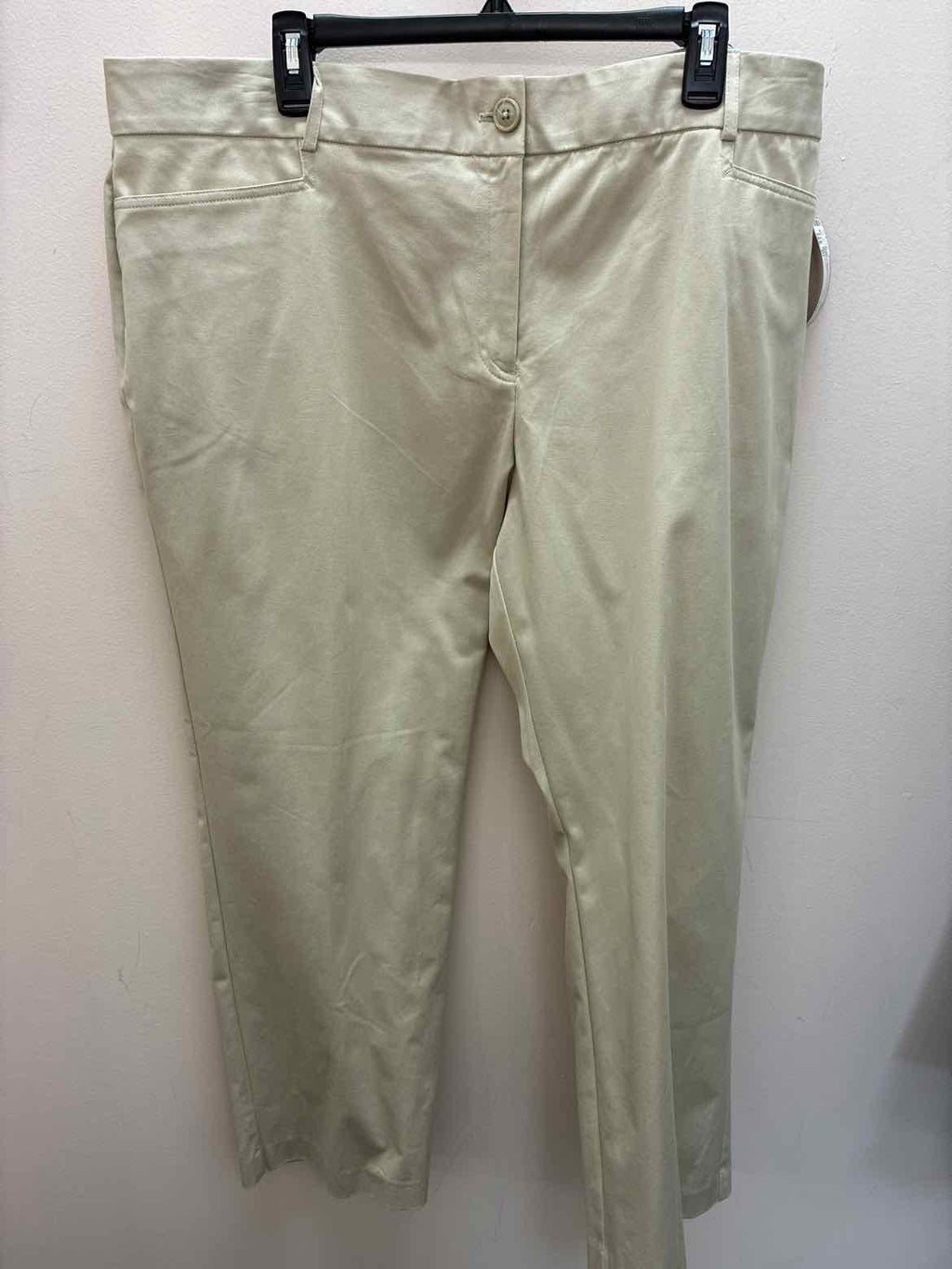 Size 20 Sag Harbor Pants