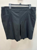 Size 1X Terra Sky Shorts